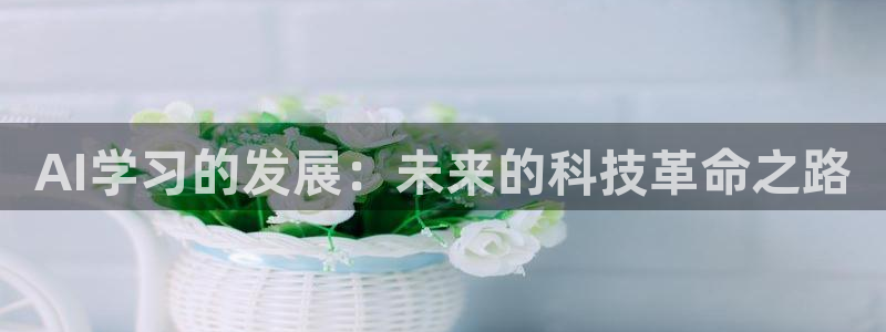 AI学习的发展：未来的科技革命之路