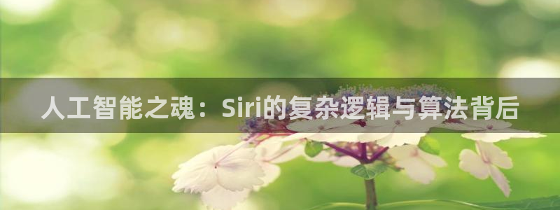 人工智能之魂：Siri的复杂逻辑与算法背后