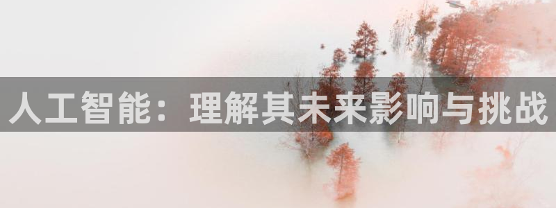 人工智能：理解其未来影响与挑战