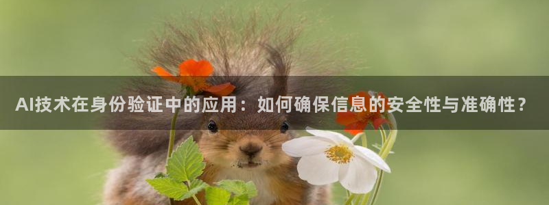 AI技术在身份验证中的应用：如何确保信息的安全性与准确性？