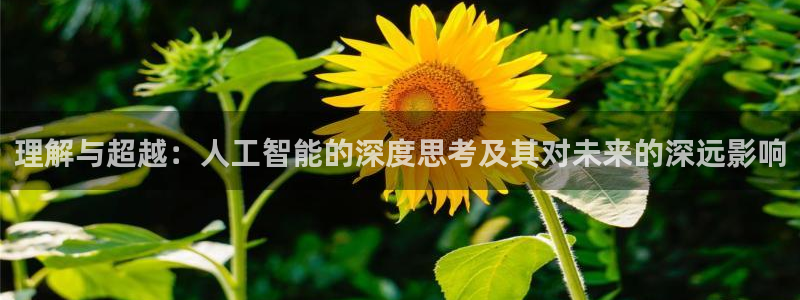 理解与超越：人工智能的深度思考及其对未来的深远影响