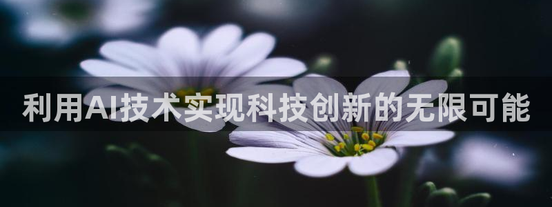 利用AI技术实现科技创新的无限可能