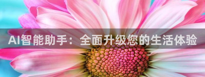 AI智能助手：全面升级您的生活体验
