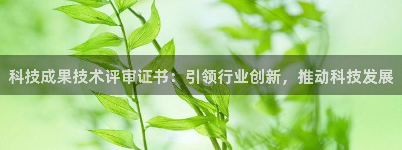 科技成果技术评审证书：引领行业创新，推动科技发展