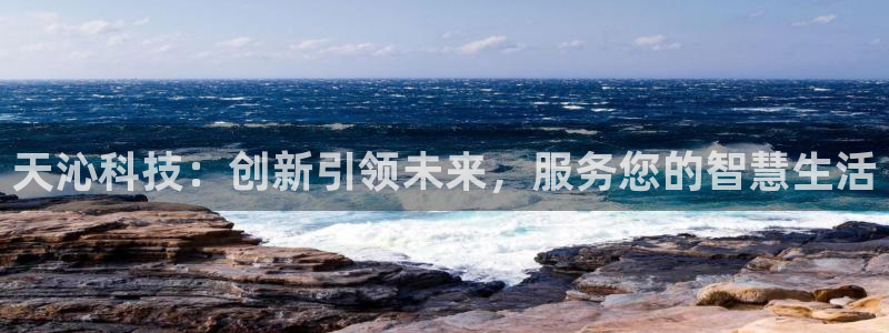 天沁科技：创新引领未来，服务您的智慧生活
