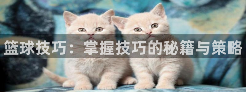 篮球技巧：掌握技巧的秘籍与策略