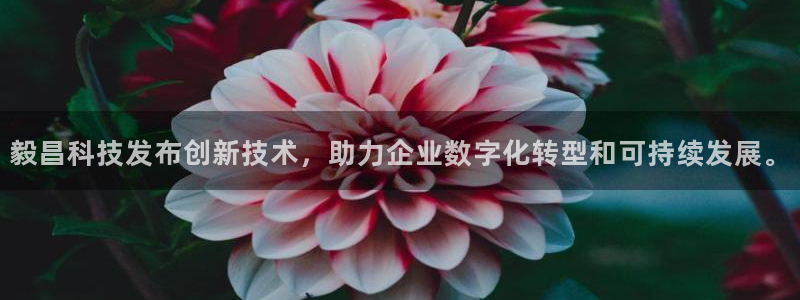 毅昌科技发布创新技术，助力企业数字化转型和可持续发展。