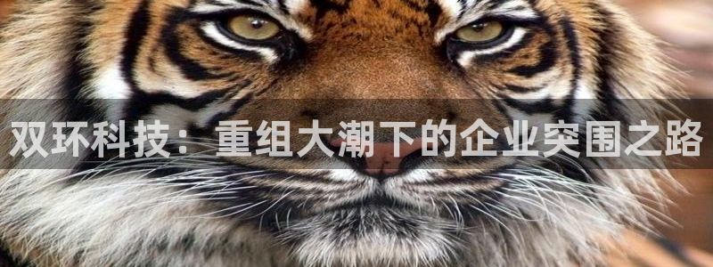双环科技：重组大潮下的企业突围之路