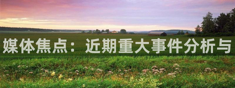 媒体焦点：近期重大事件分析与