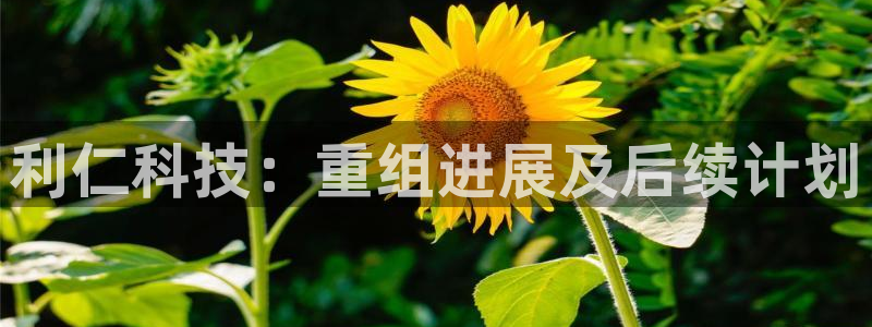 利仁科技：重组进展及后续计划