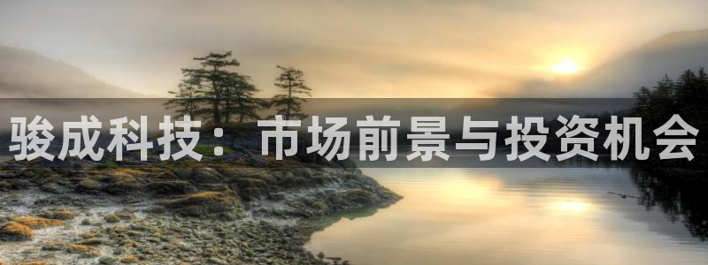 骏成科技：市场前景与投资机会