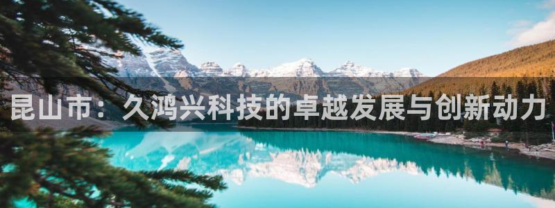 昆山市：久鸿兴科技的卓越发展与创新动力