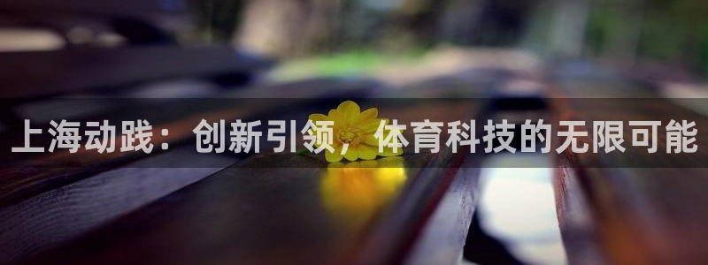 上海动践：创新引领，体育科技的无限可能