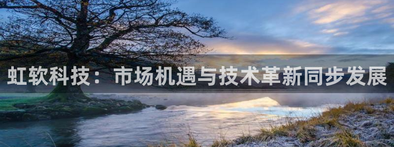虹软科技：市场机遇与技术革新同步发展