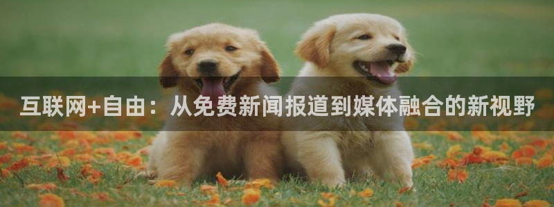 互联网+自由：从免费新闻报道到媒体融合的新视野