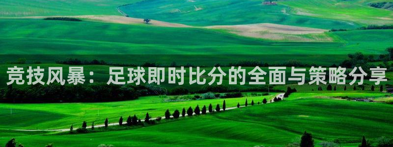竞技风暴：足球即时比分的全面与策略分享
