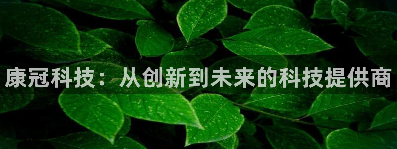 康冠科技：从创新到未来的科技提供商