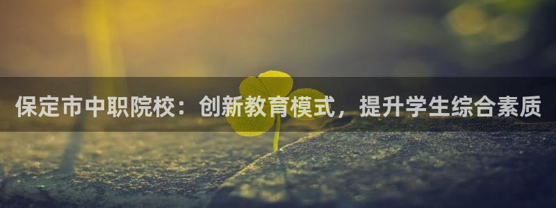 保定市中职院校：创新教育模式，提升学生综合素质