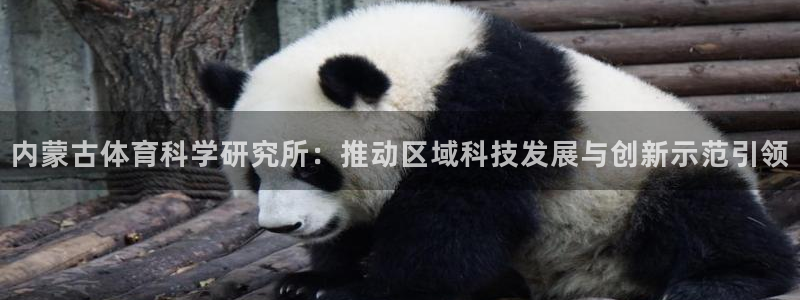 内蒙古体育科学研究所：推动区域科技发展与创新示范引领